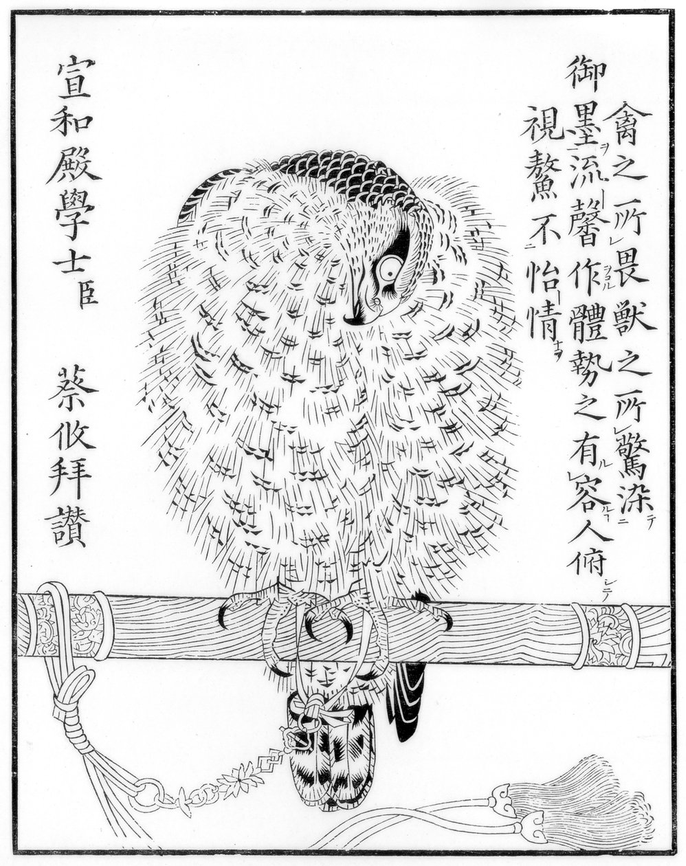 Falke, 1886 von Unbekannt