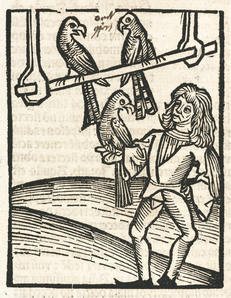 Falkner mit Habichten von Unbekannt