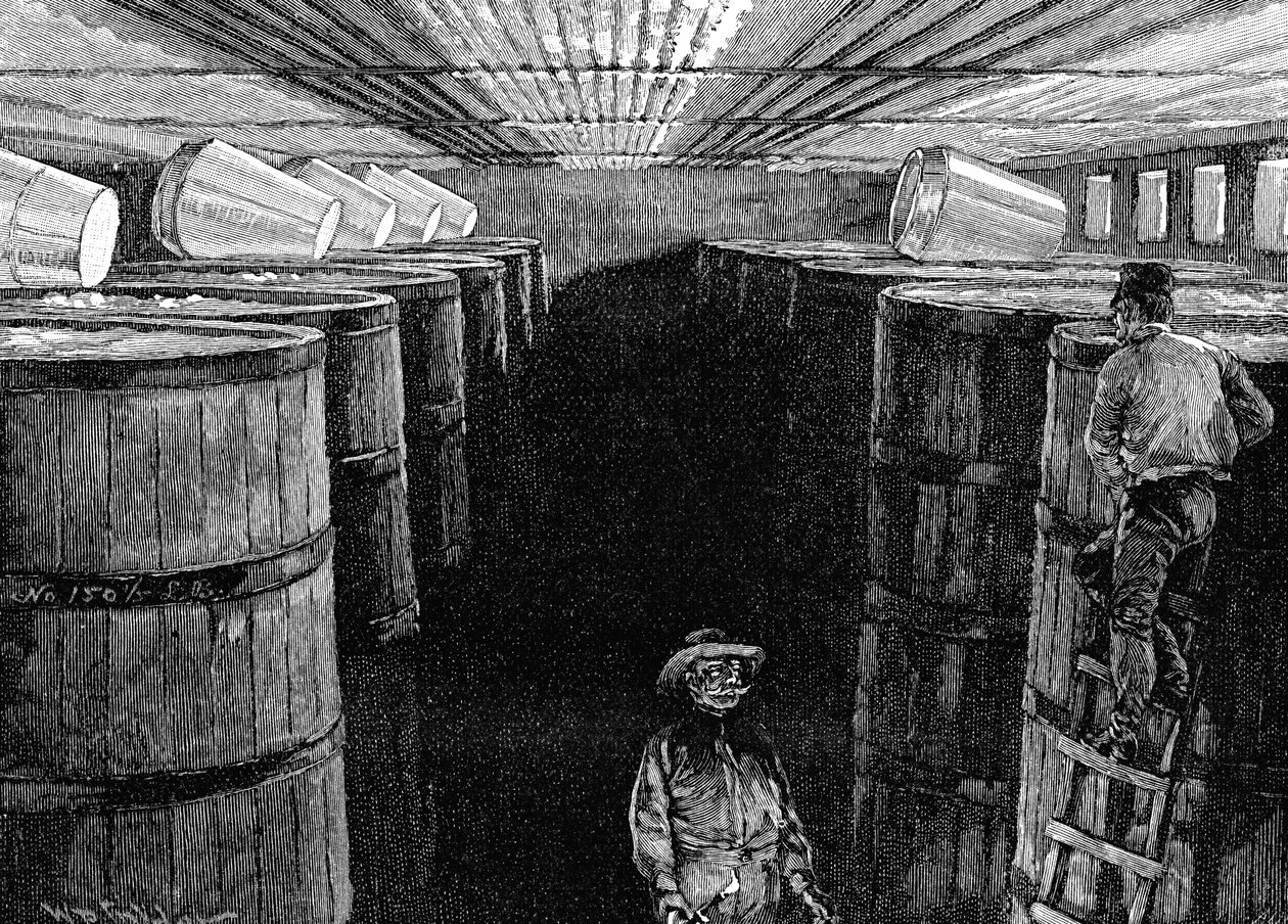 Gärkeller in einer amerikanischen Brauerei, 1885 von Unbekannt