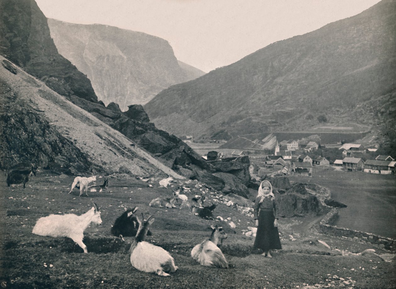 Flaam, 1914 von Unbekannt