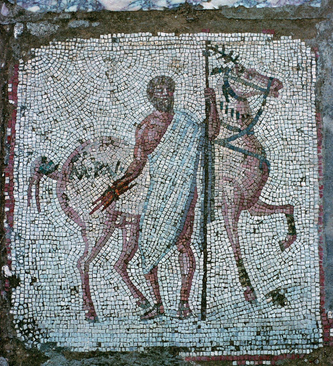 Bodenmosaik aus einer römischen Villa von Unbekannt