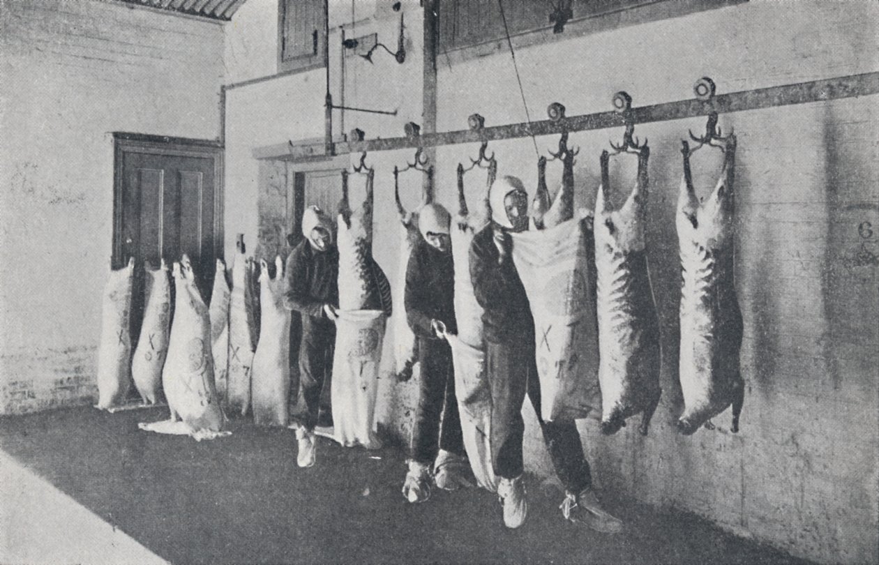 Gefrorenes Fleisch, 1923 von Unbekannt