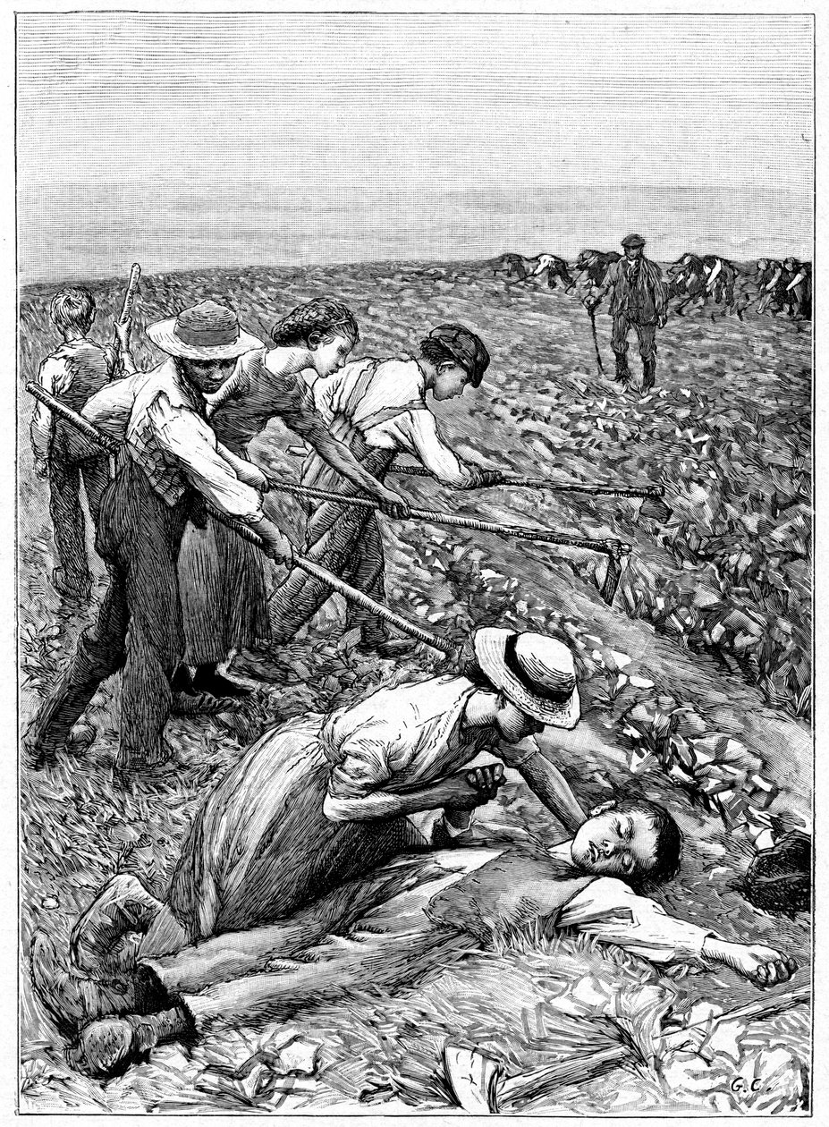 Gangsystem der Kinderarbeit, ca. 1885 von Unbekannt