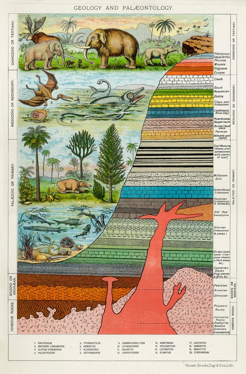 Geologie und Paläontologie von Unbekannt
