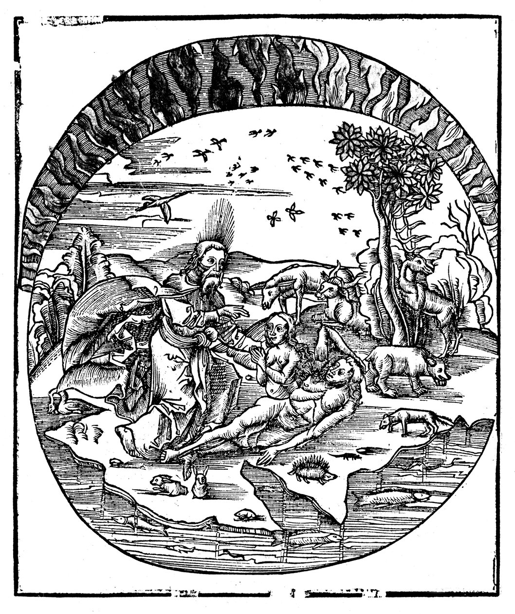 Gott erschafft Eva aus Adams Rippe, 1508 von Unbekannt