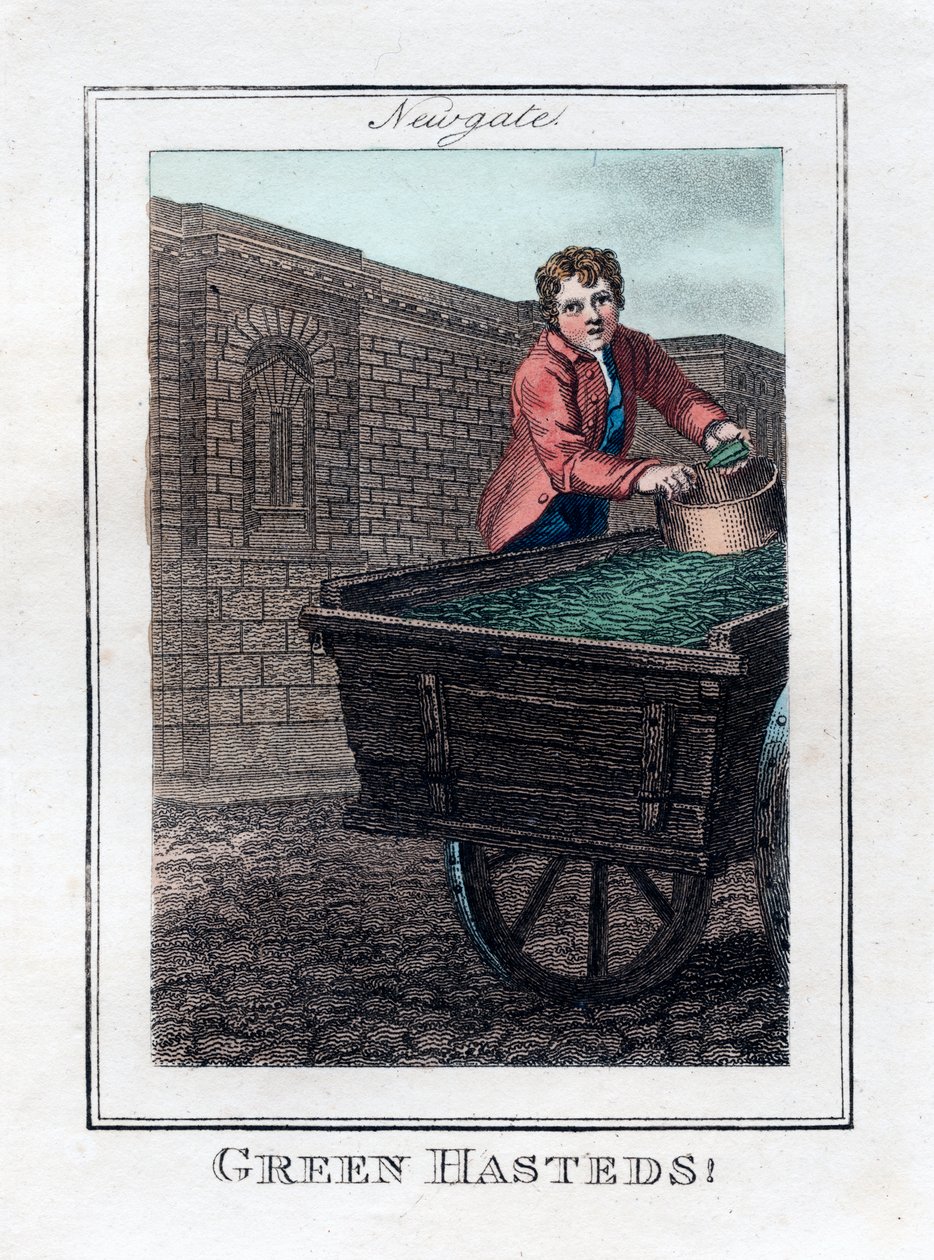 Green Hasteds, Newgate, London, 1805 von Unbekannt