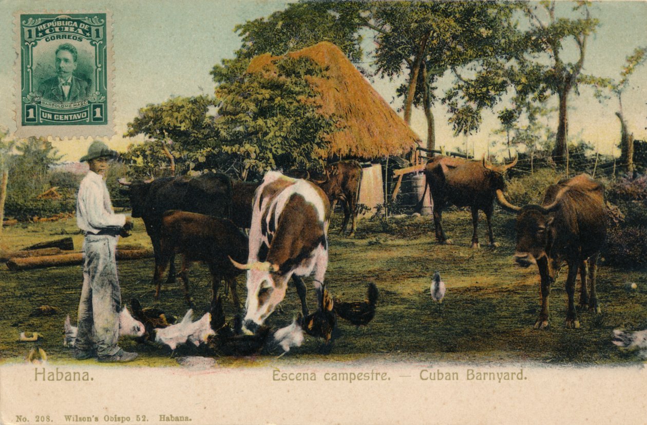 Habana. Ländliche Szene - Kubanischer Bauernhof, um 1910 von Unbekannt