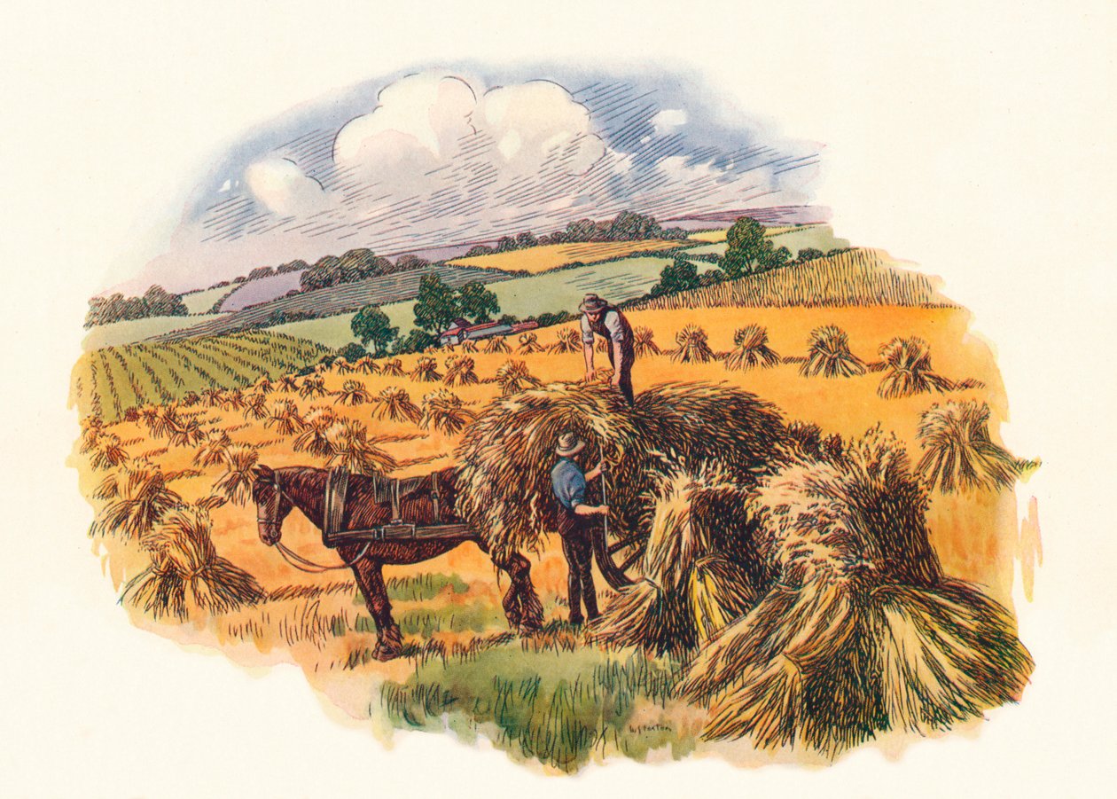 Ernte in Tolpuddle, 1824, 1934 von Unbekannt