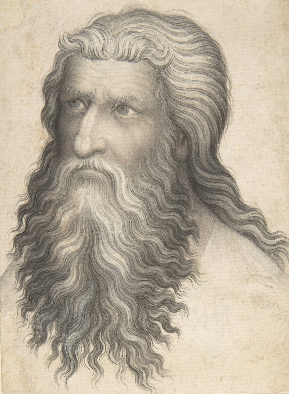 Kopf eines bärtigen Mannes, 1360-80 von Unbekannt