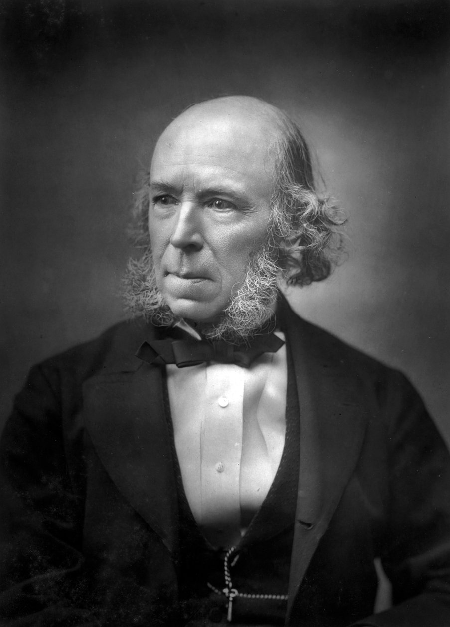 Herbert Spencer 1820-1903, spätes 19. Jahrhundert von Unbekannt