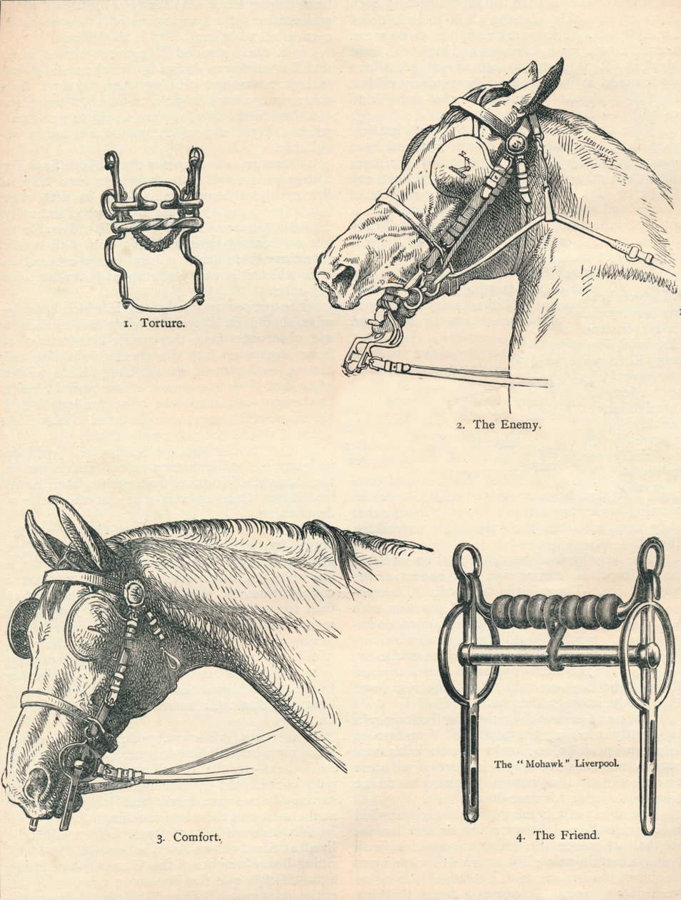 Pferdegebisse, gut und schlecht, um 1909-1910 von Unbekannt