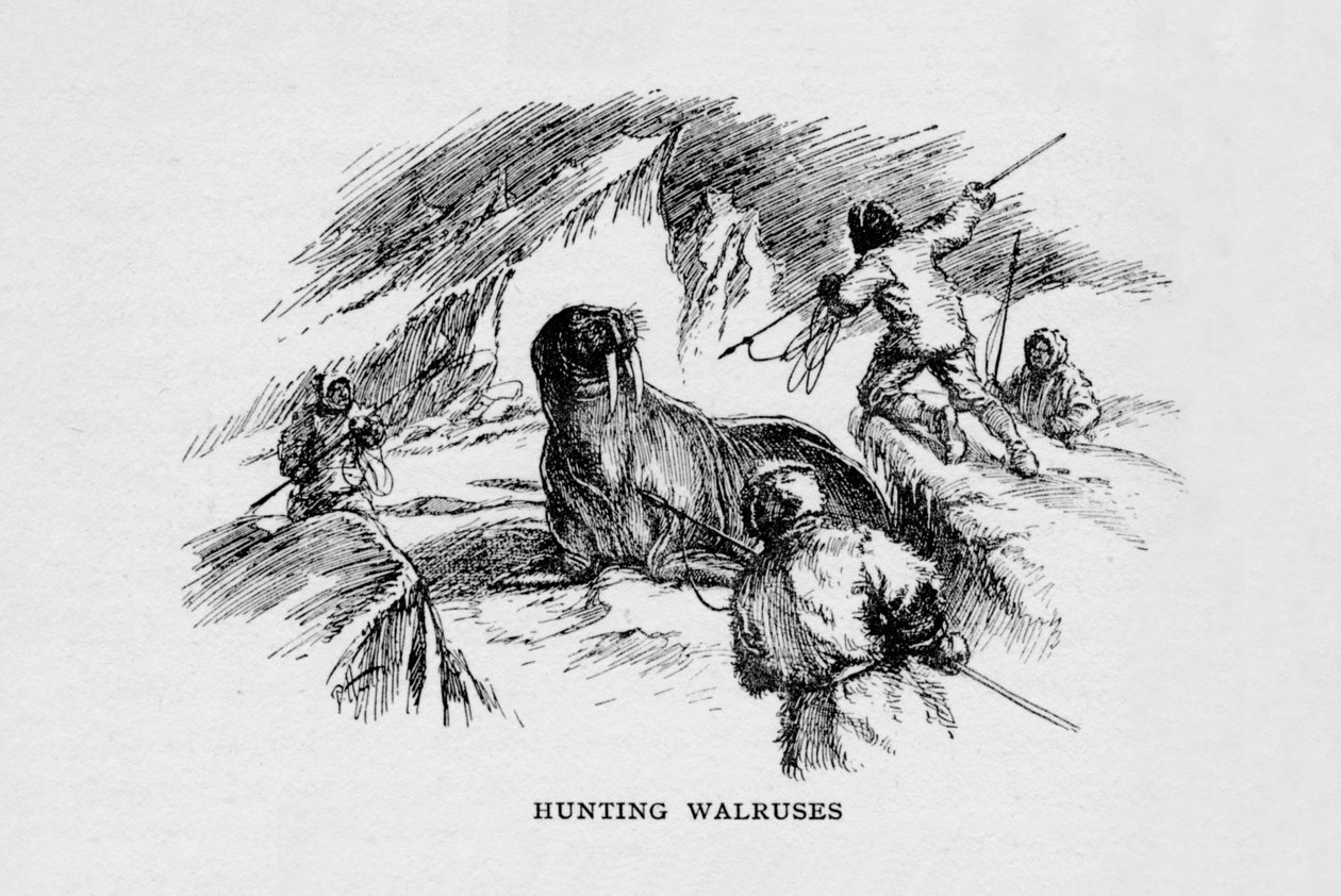 Walrossjagd, ca. 1927, 1928 von Unbekannt