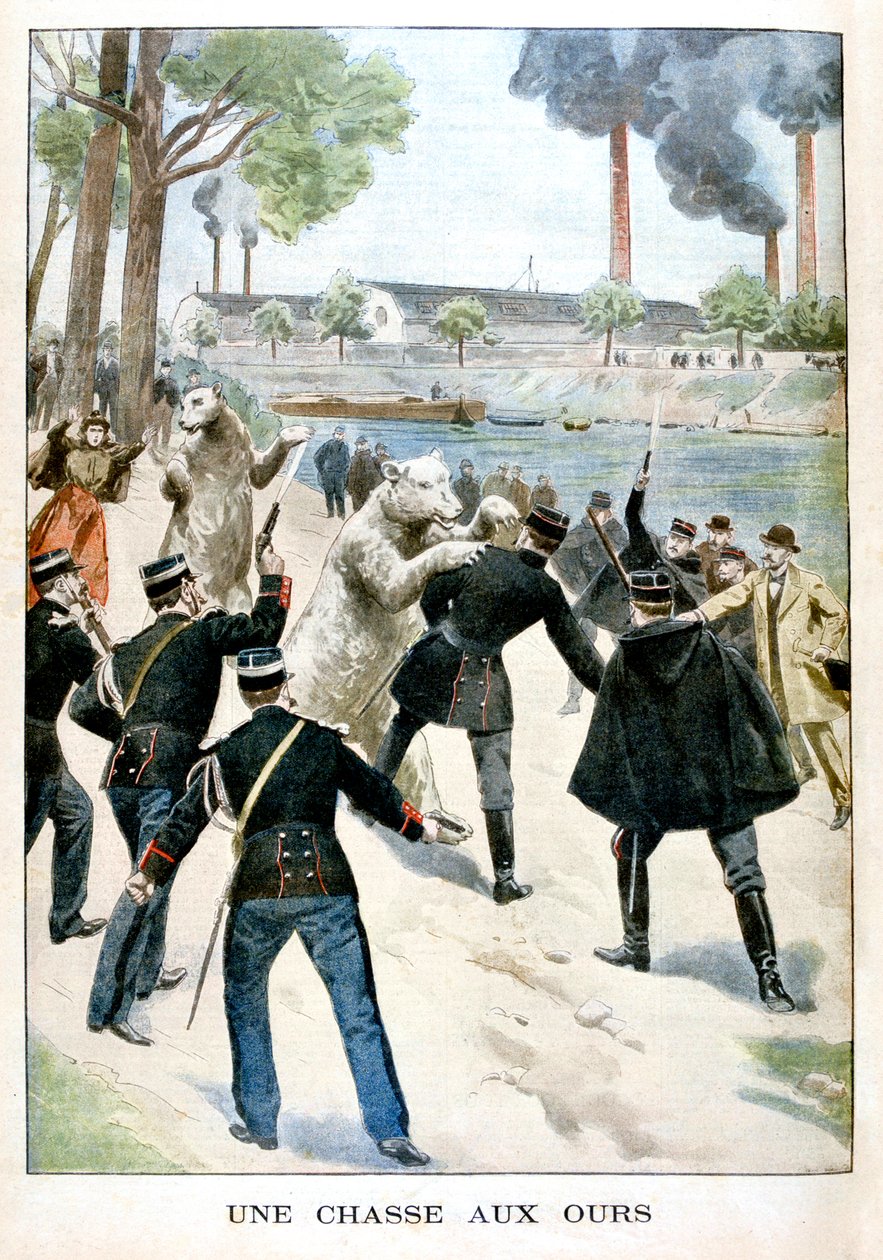 Bärenjagd, 1901 von Unbekannt