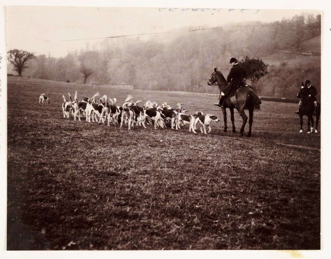 Jäger und Hunde, um 1905 von Unbekannt