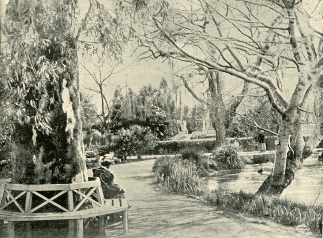 Im Botanischen Garten, Adelaide, 1901 von Unbekannt