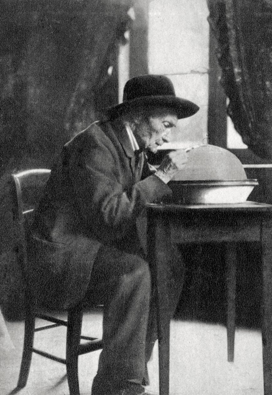 Jean Henri Fabre, französischer Entomologe von Unbekannt