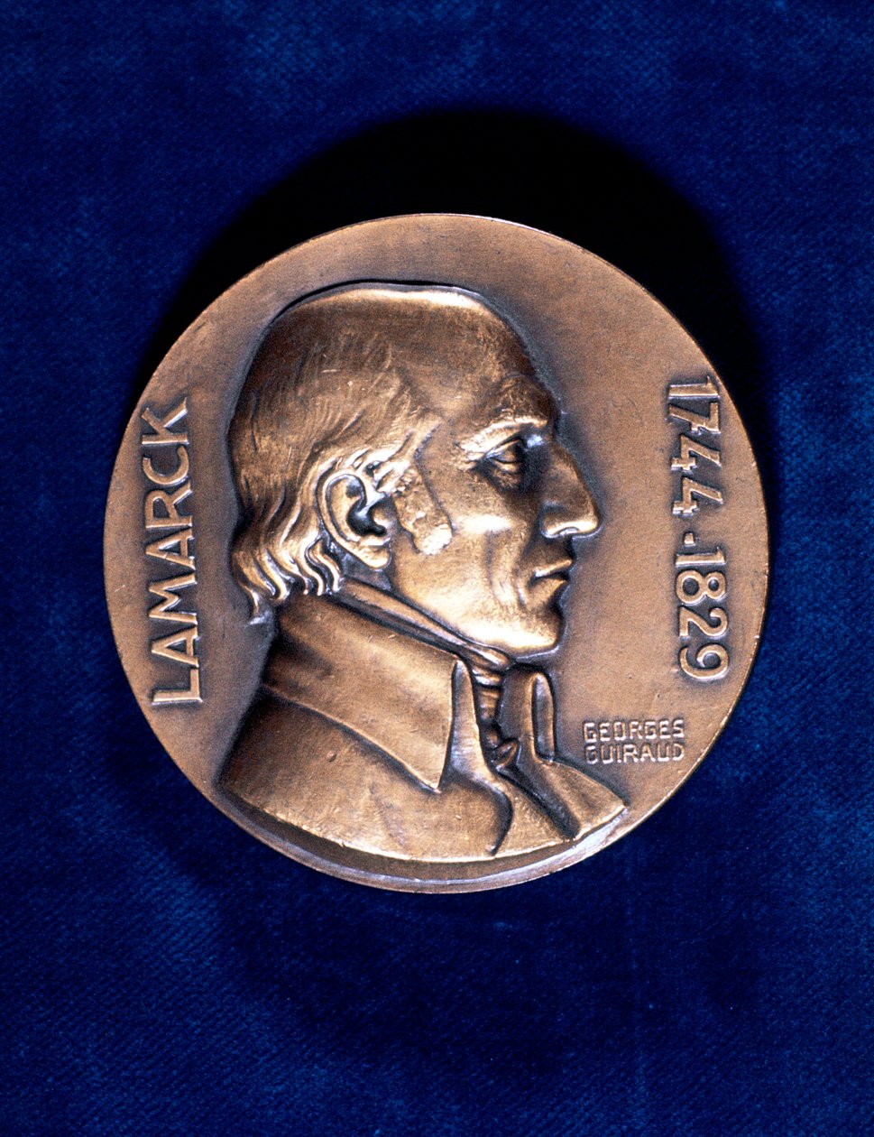 Jean Lamarck, französischer Naturforscher von Unbekannt