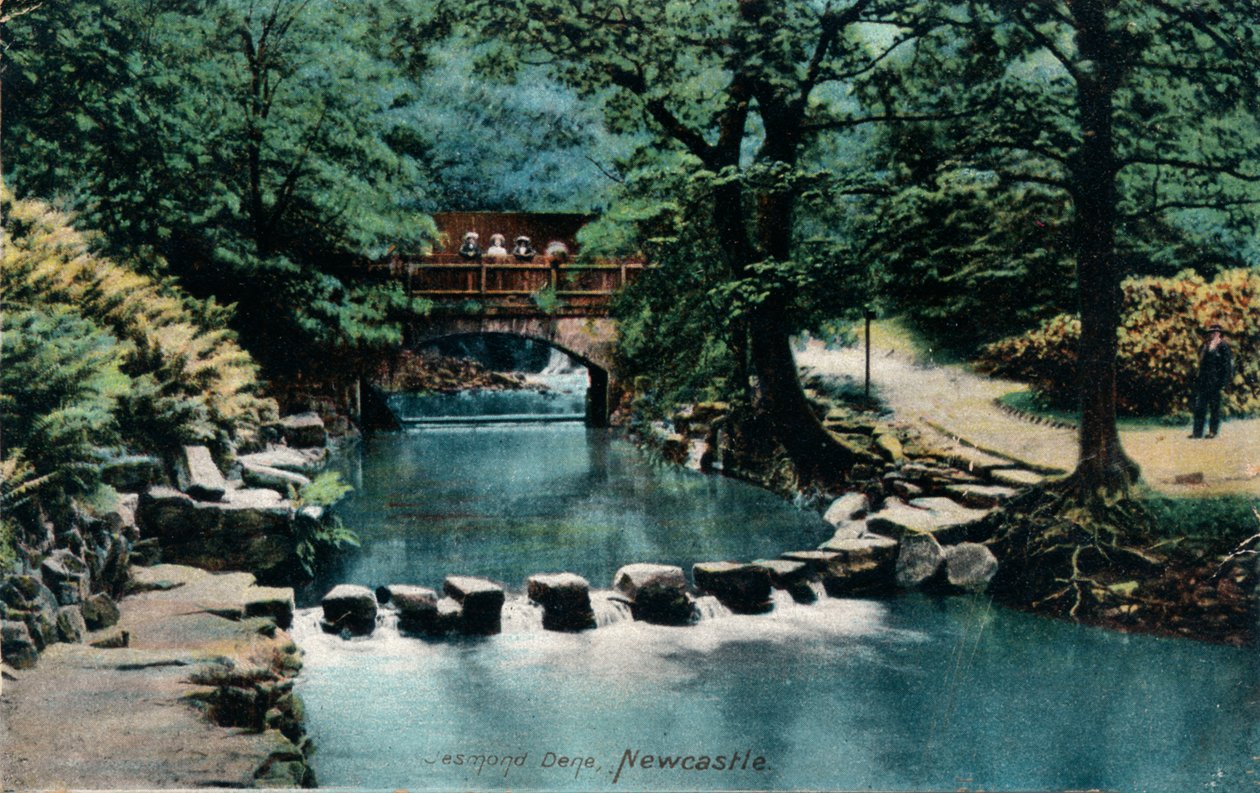 Jesmond Dene, Newcastle, ca. 1905 von Unbekannt