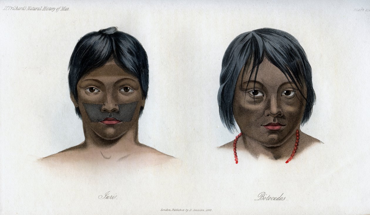 Juri und Botocudos, der Brasilio-Guarani-Nation, 1848 von Unbekannt