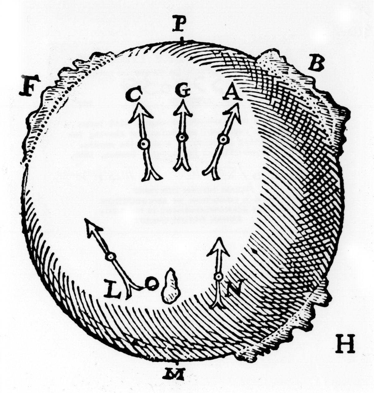 Magnetismus, 1600 von Unbekannt