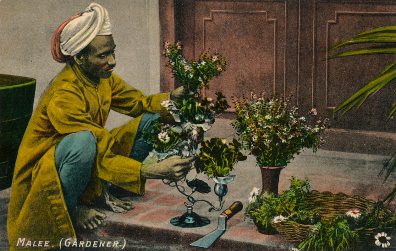 Männlicher Gärtner, ca. 1900 von Unbekannt