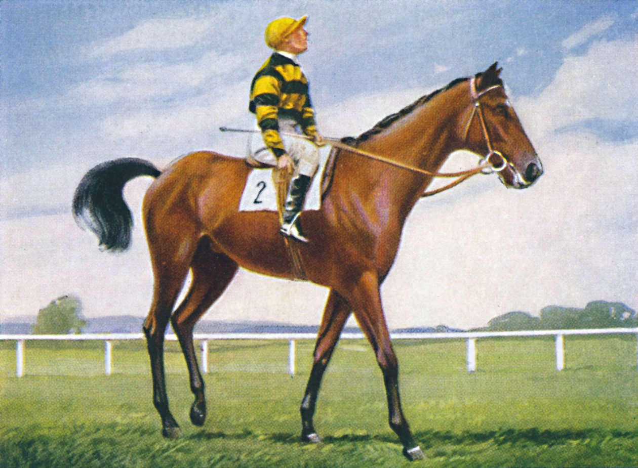 Wiese, Jockey: T. Weston, 1939 von Unbekannt