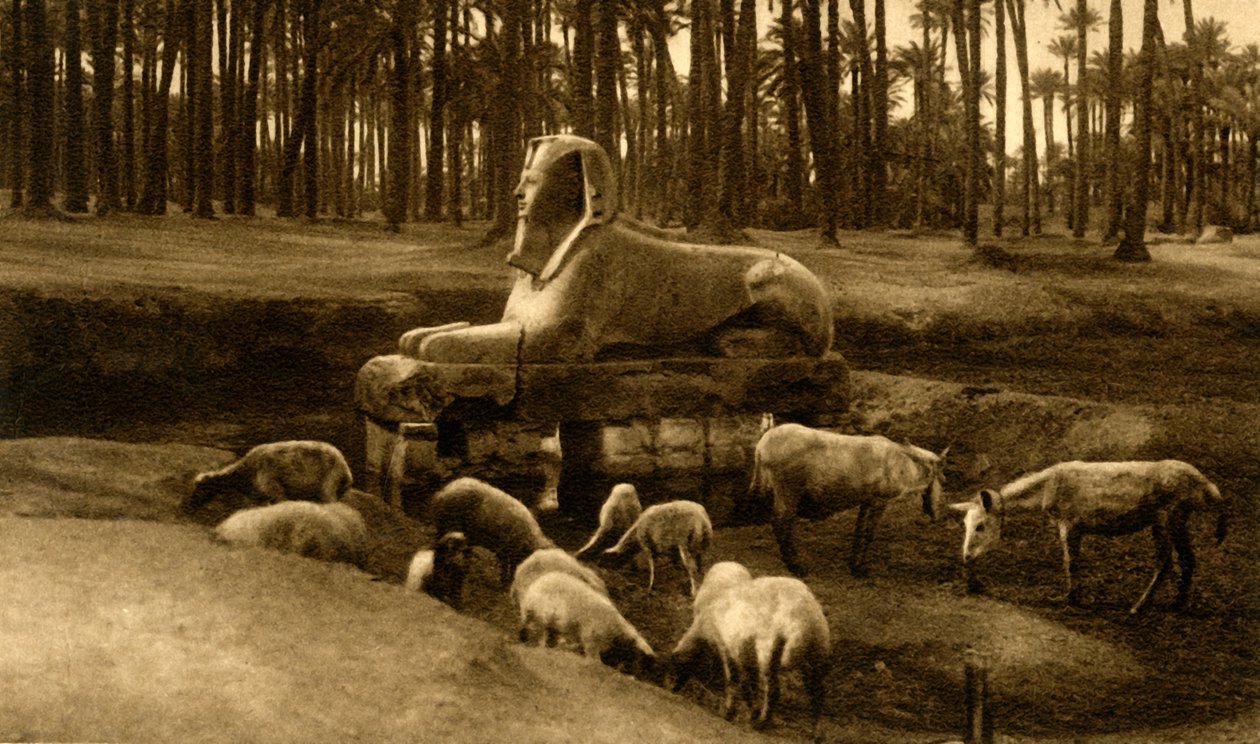 Memphis - Die Alabaster-Sphinx, ca. 1918-1939 von Unbekannt