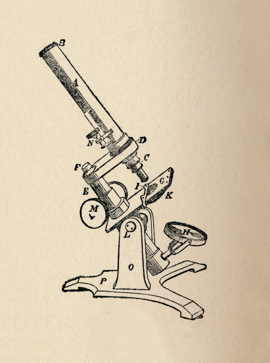 Mikroskop, 1912 von Unbekannt