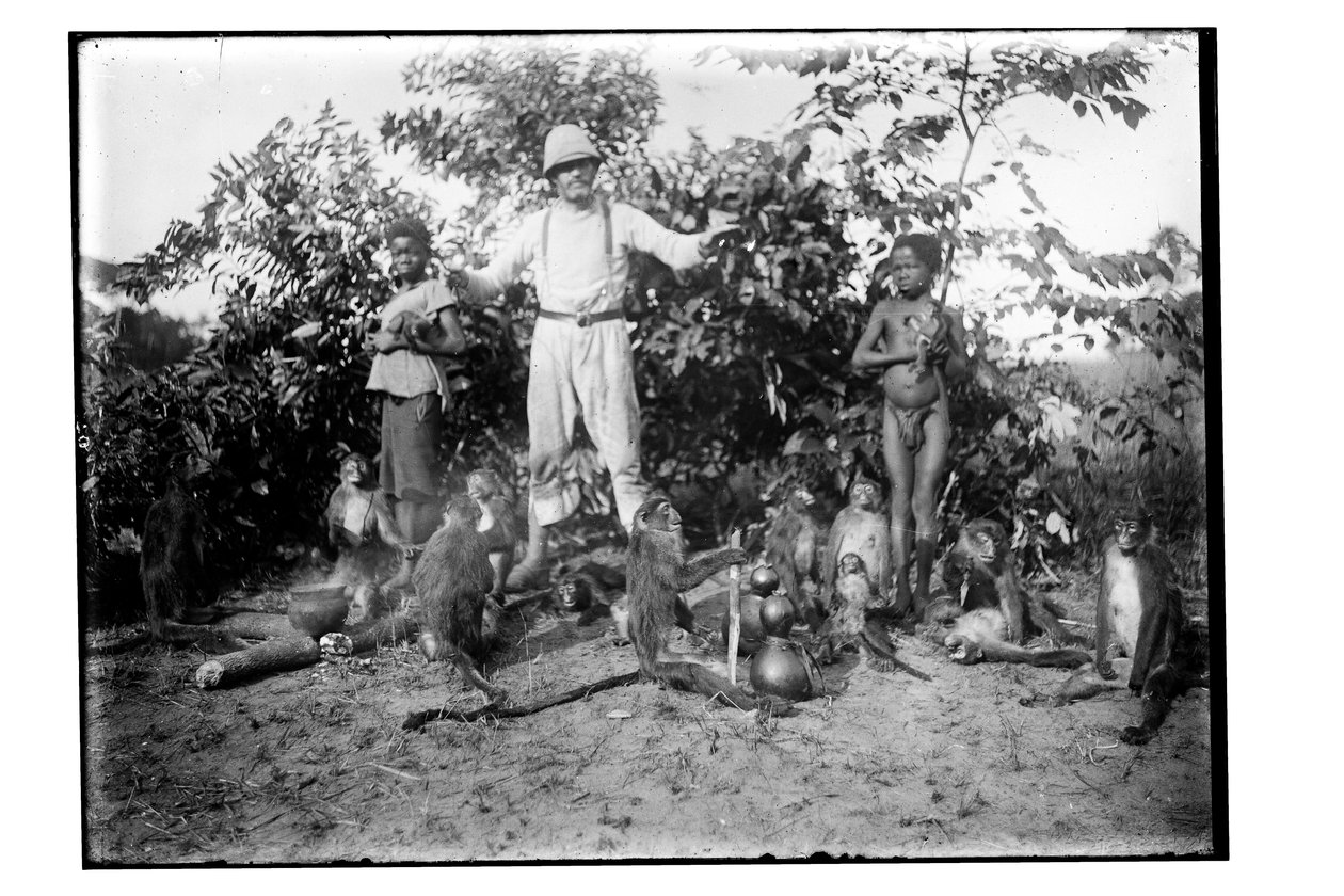 Affen, ca. 1910 von Unbekannt