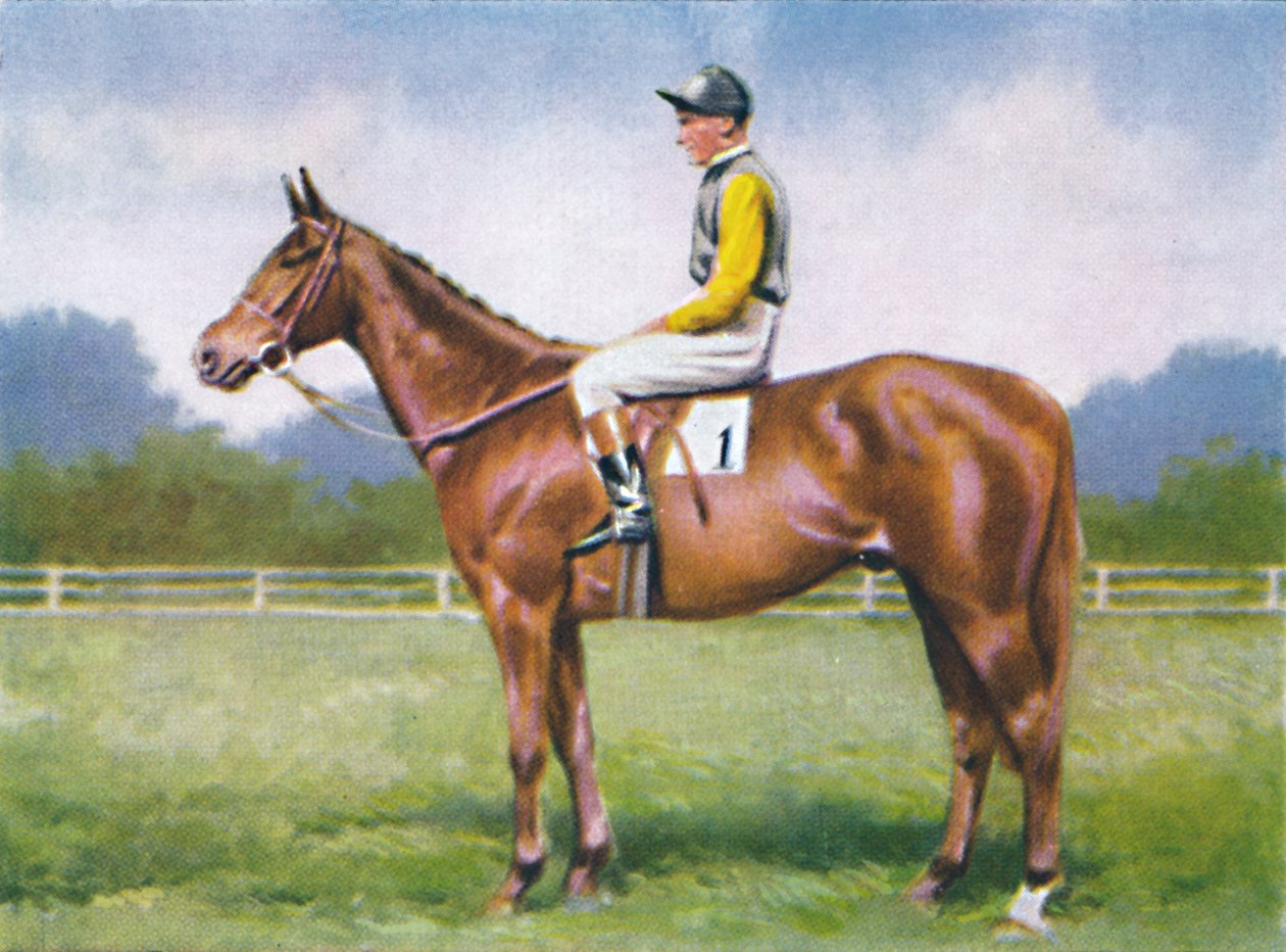 Morsecode, Jockey: D. Morgan von Unbekannt