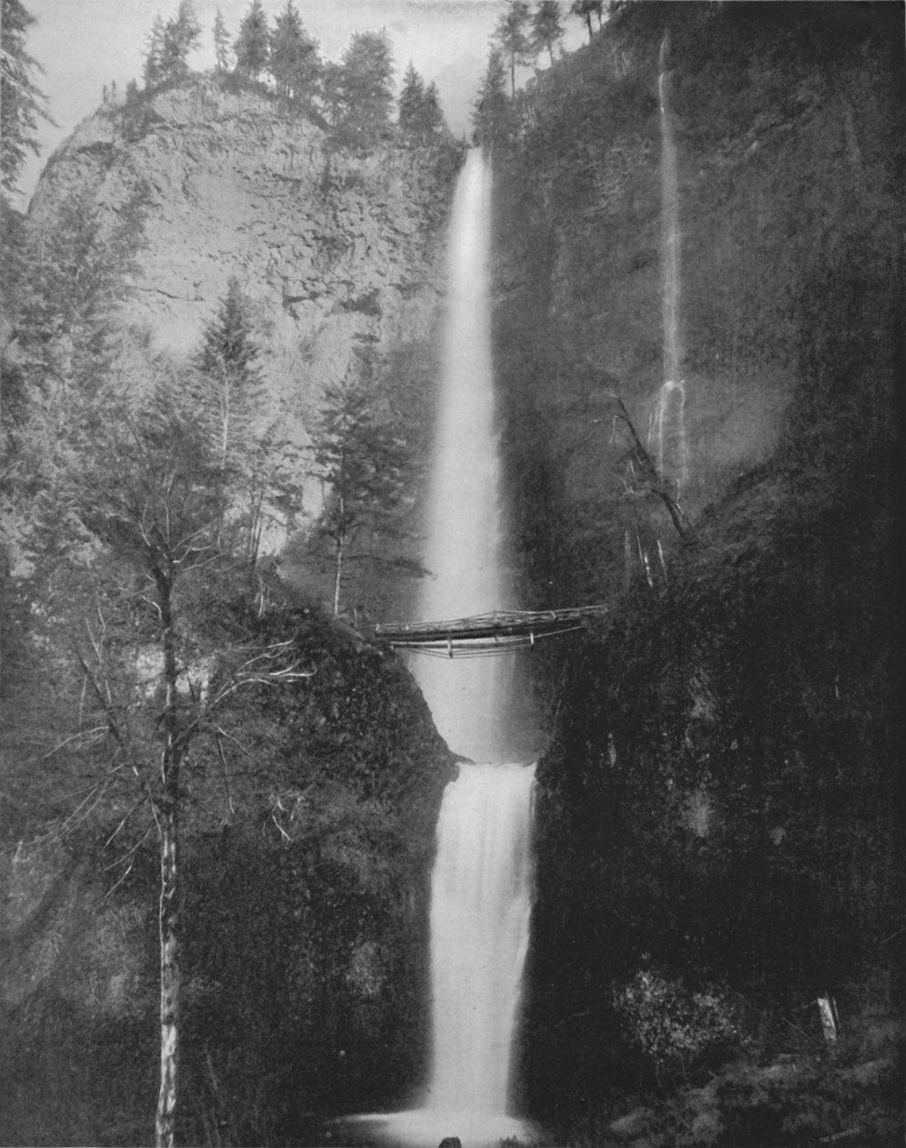 Multinomah Falls von Unbekannt