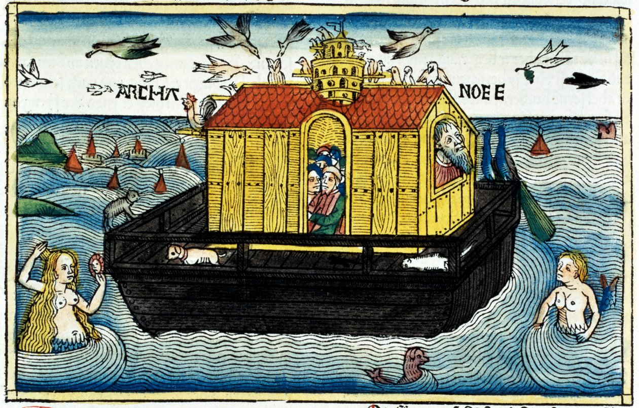 Noahs Arche von Unbekannt