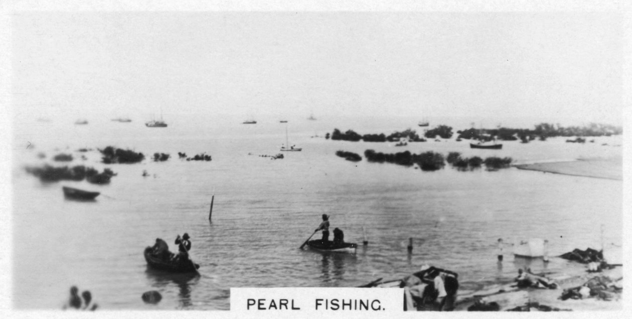 Perlenfischen, Australien von Unbekannt