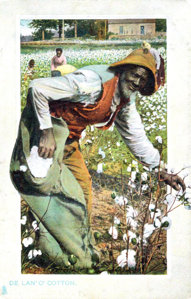 Baumwollpflücken, USA, Postkarte, ca. 1900 von Unbekannt