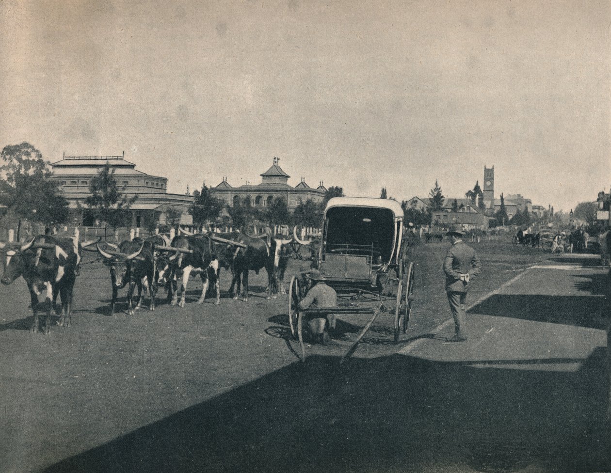 Pietermaritzburg, um 1900 von Unbekannt