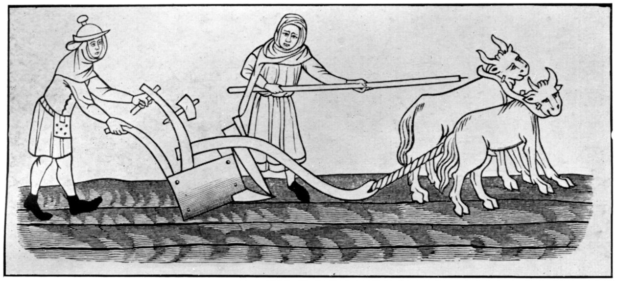 Pflügen, 14. Jahrhundert, 1910 von Unbekannt