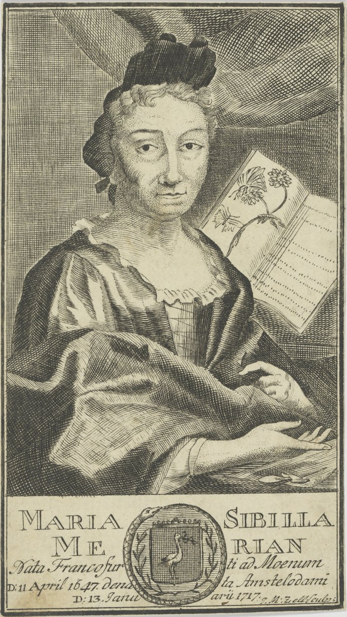 Porträt von Maria Sibylla Merian 1647-1717, 1755 von Unbekannt