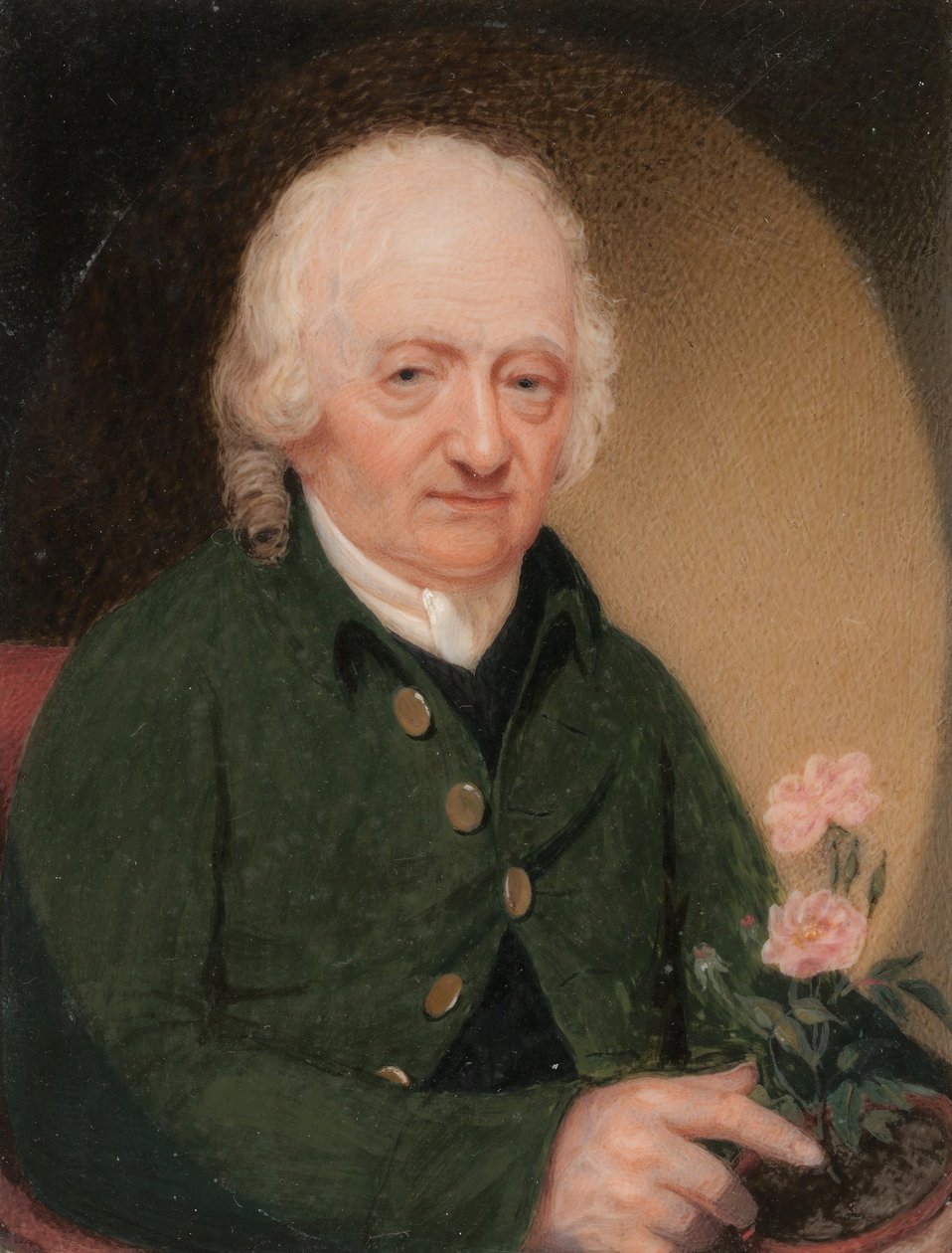 Porträt eines Gentlemans, ca. 1810-15 von Unbekannt