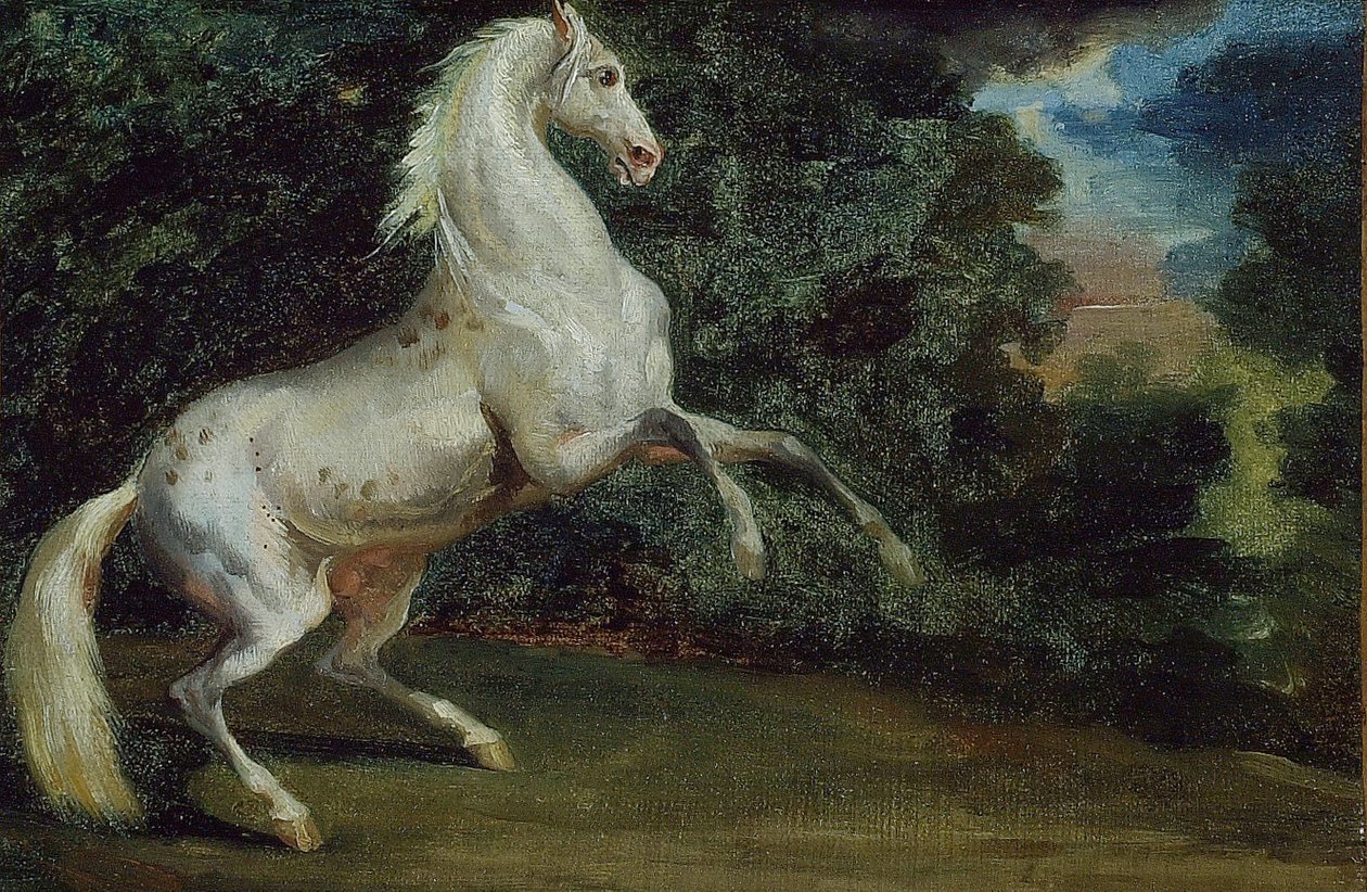 Tänzelndes Pferd, 1808-1812 von Unbekannt
