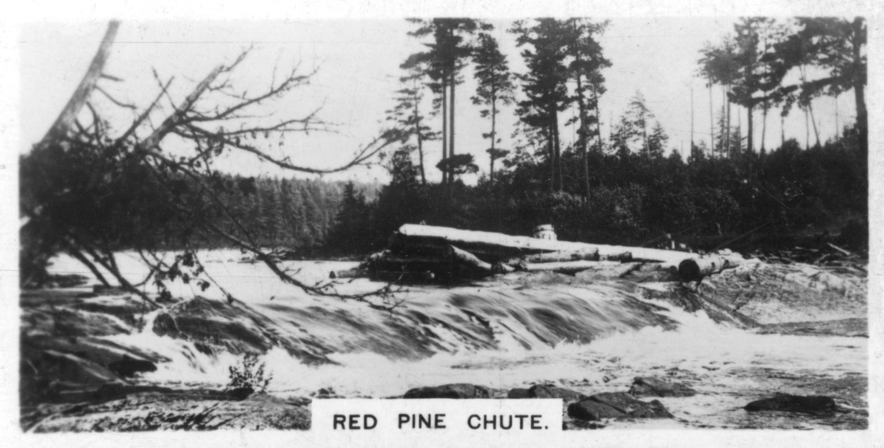 Red Pine Chute, Kanada, ca. 1920er Jahre von Unbekannt