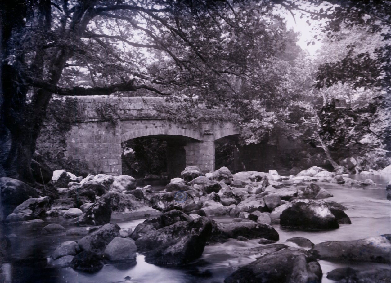 Fluss und Brücke in der Nähe von Plymouth in Devon, 1920 von Unbekannt