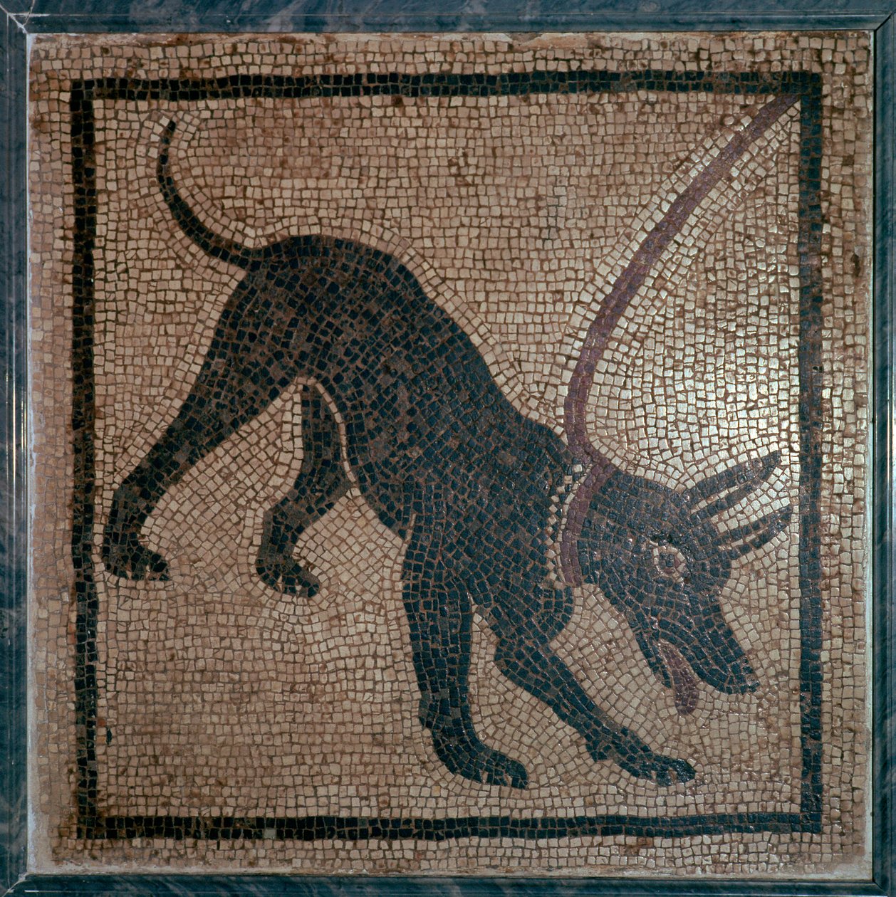 Römisches Mosaik eines Hundes von Unbekannt