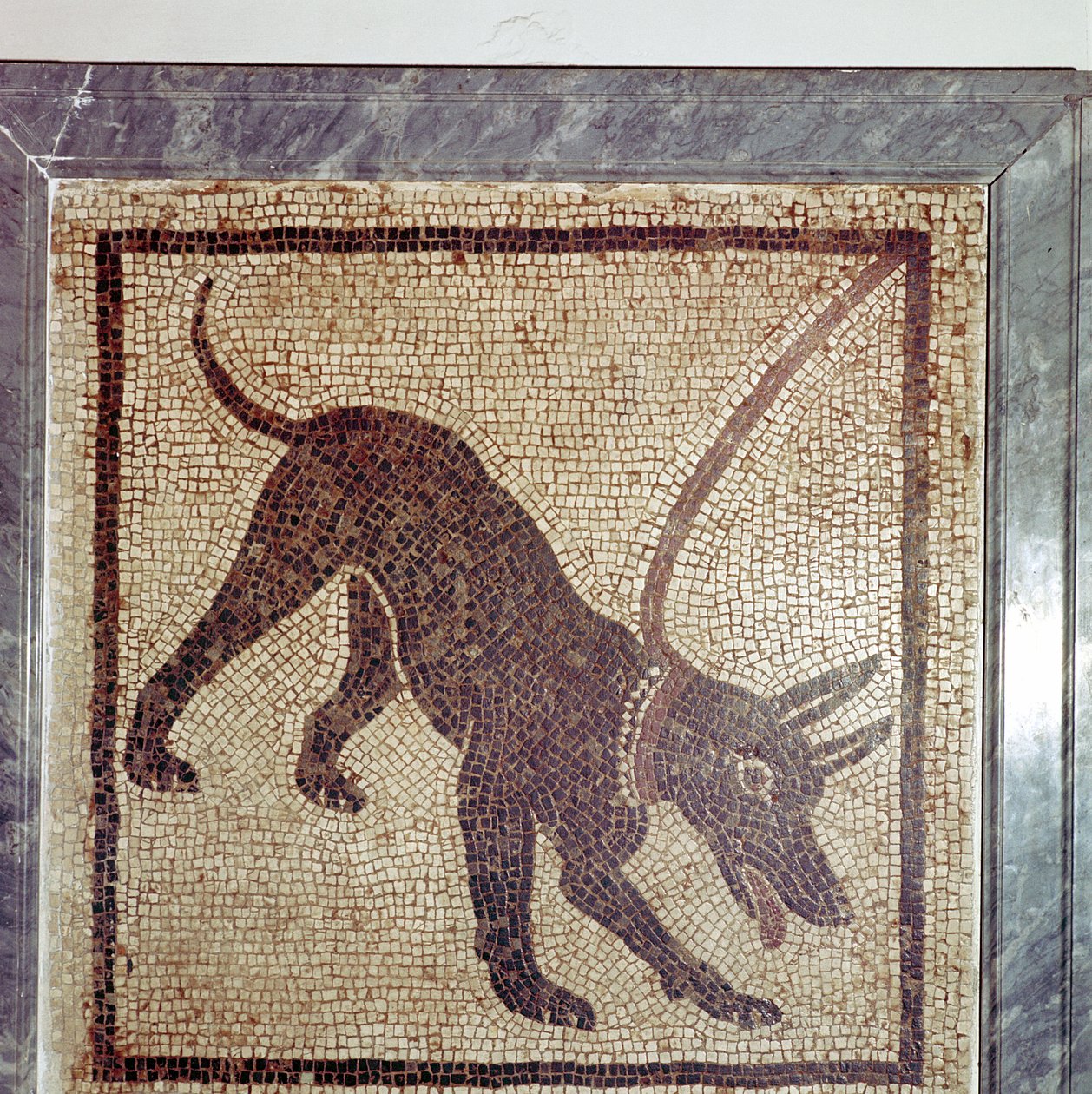 Römisches Mosaik eines Hundes, Cave Canem, Pompeji, Italien von Unbekannt