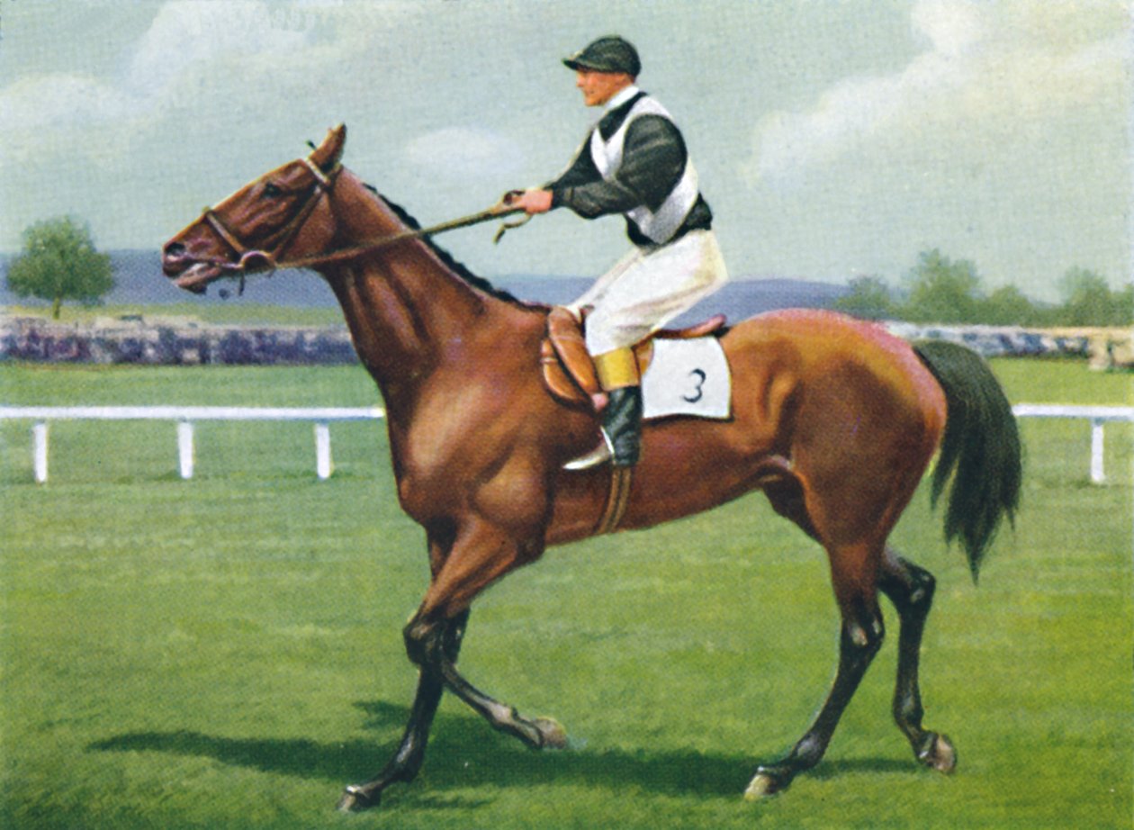 Shalfleet, Jockey: R. Perryman, 1939 von Unbekannt