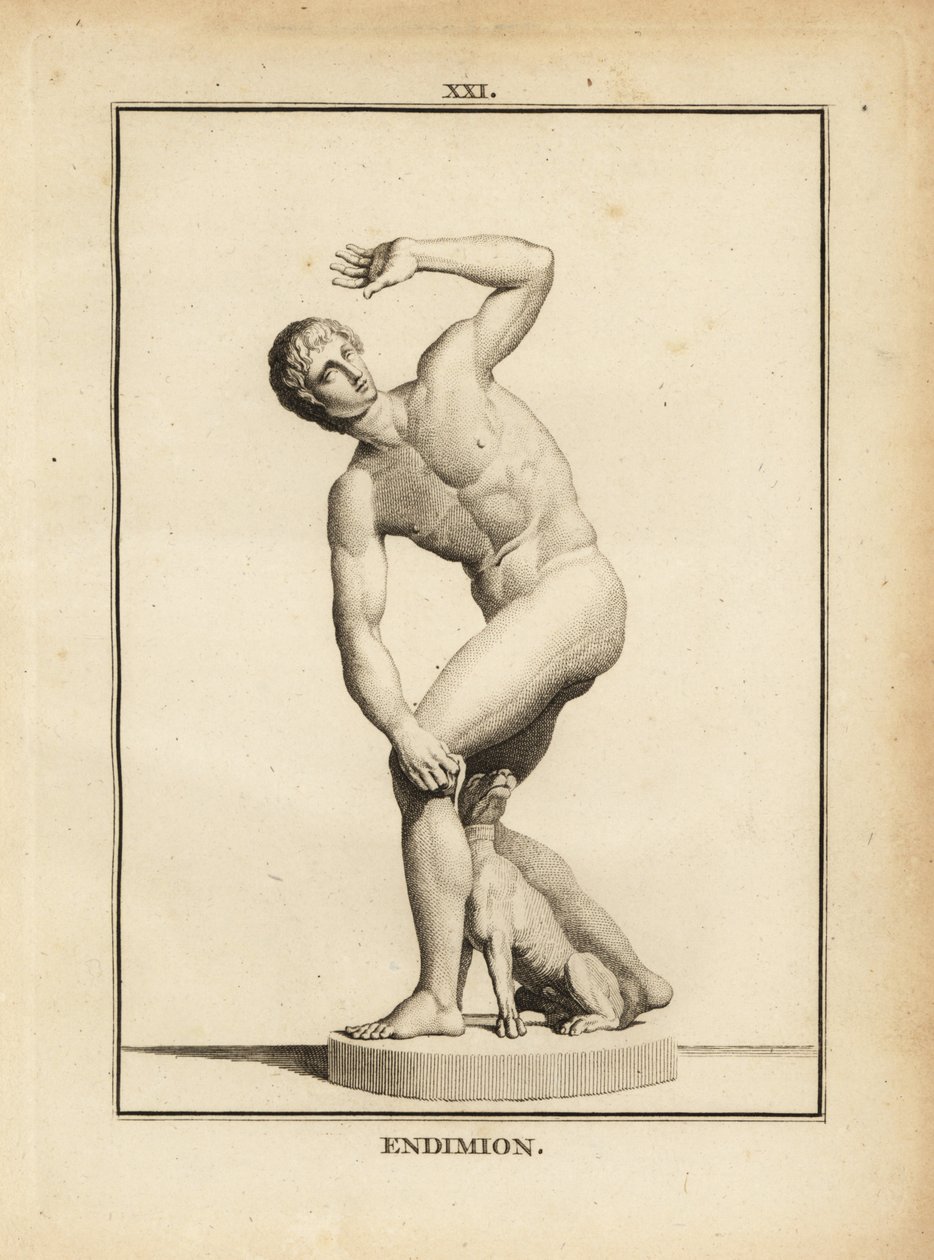 Statue des Endymion, Griechischer Hirte von Unbekannt