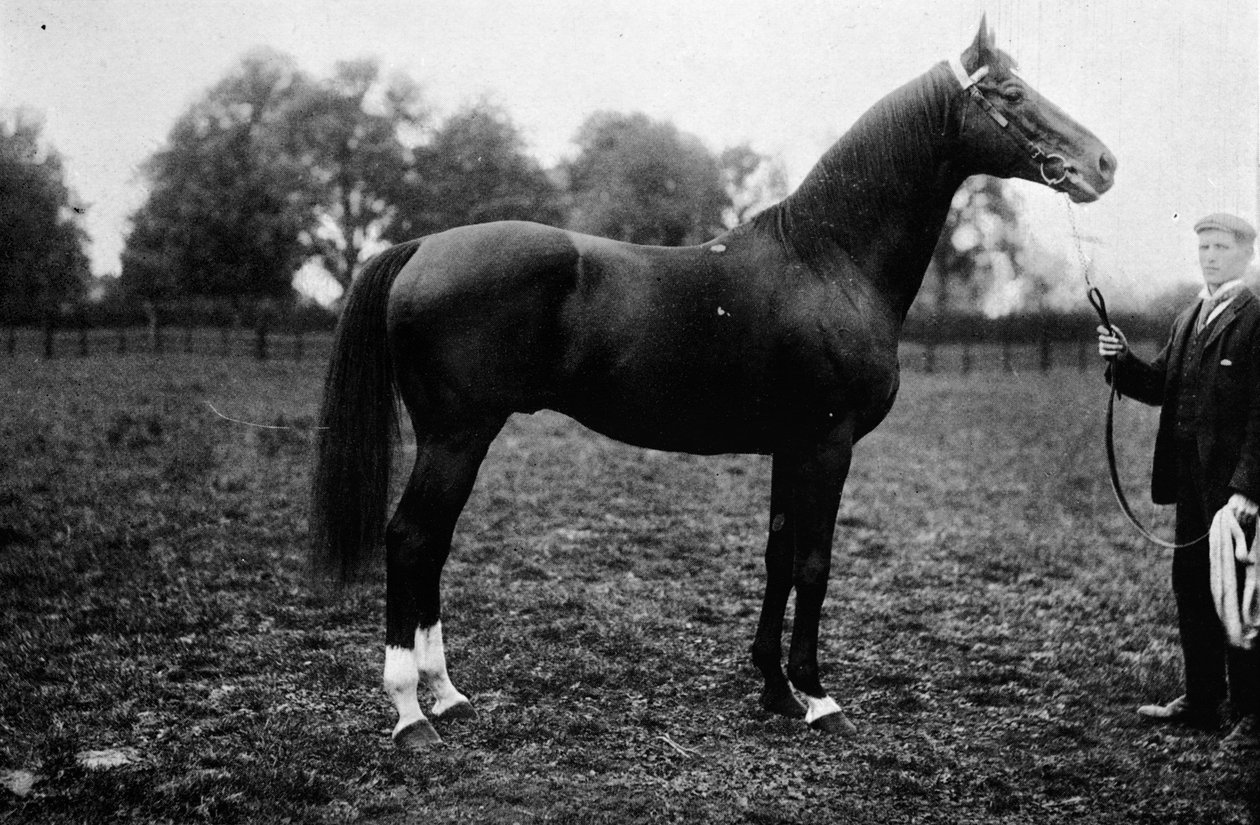 Surefoot, 1911 von Unbekannt