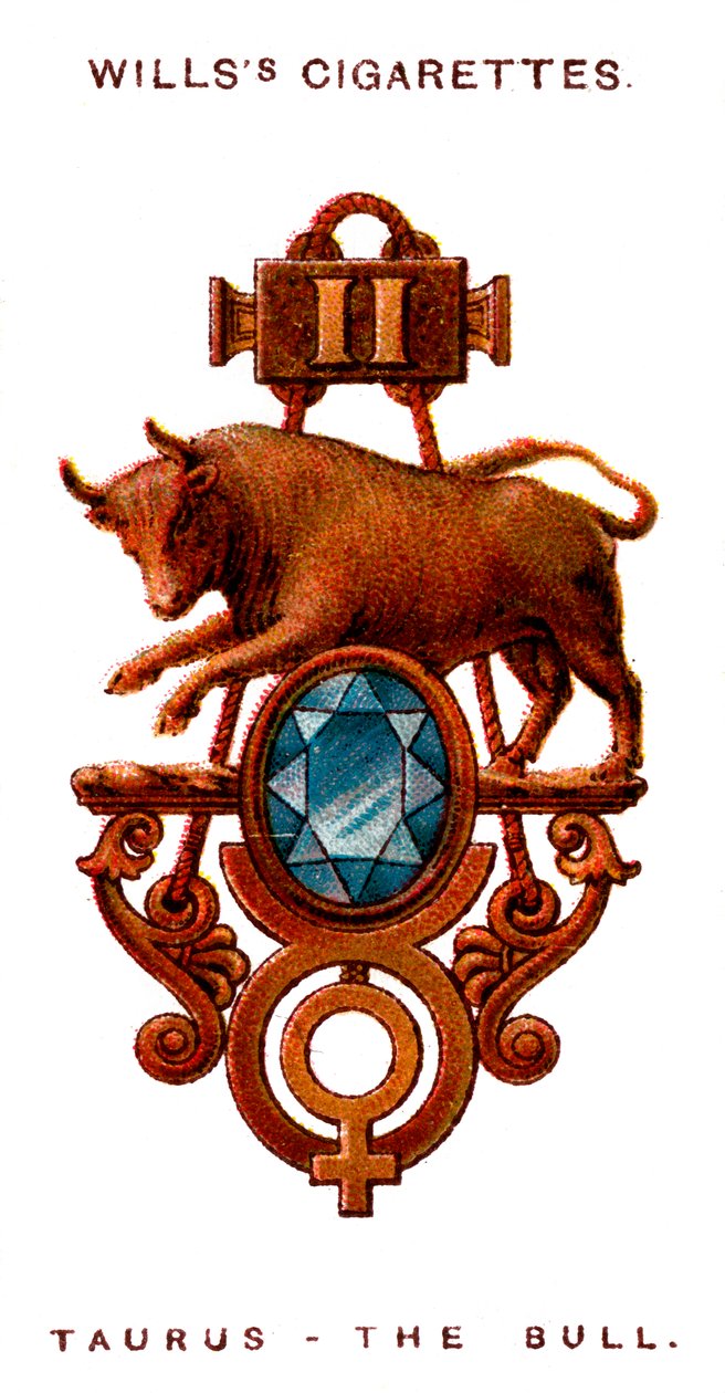 Stier, 1923 von Unbekannt