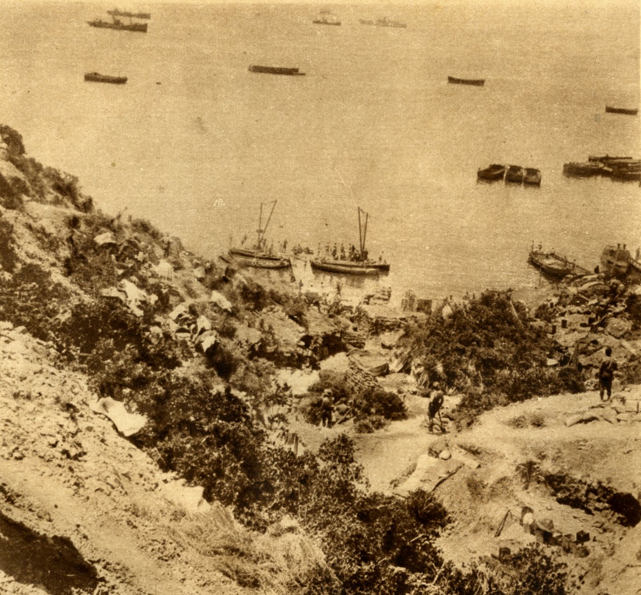 Die Anzac-Kolonie in Gallipoli, Gaba Tepe von Unbekannt