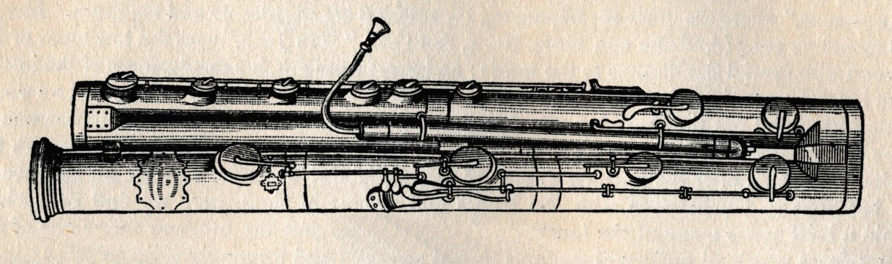 Das Kontrafagott, 1895 von Unbekannt