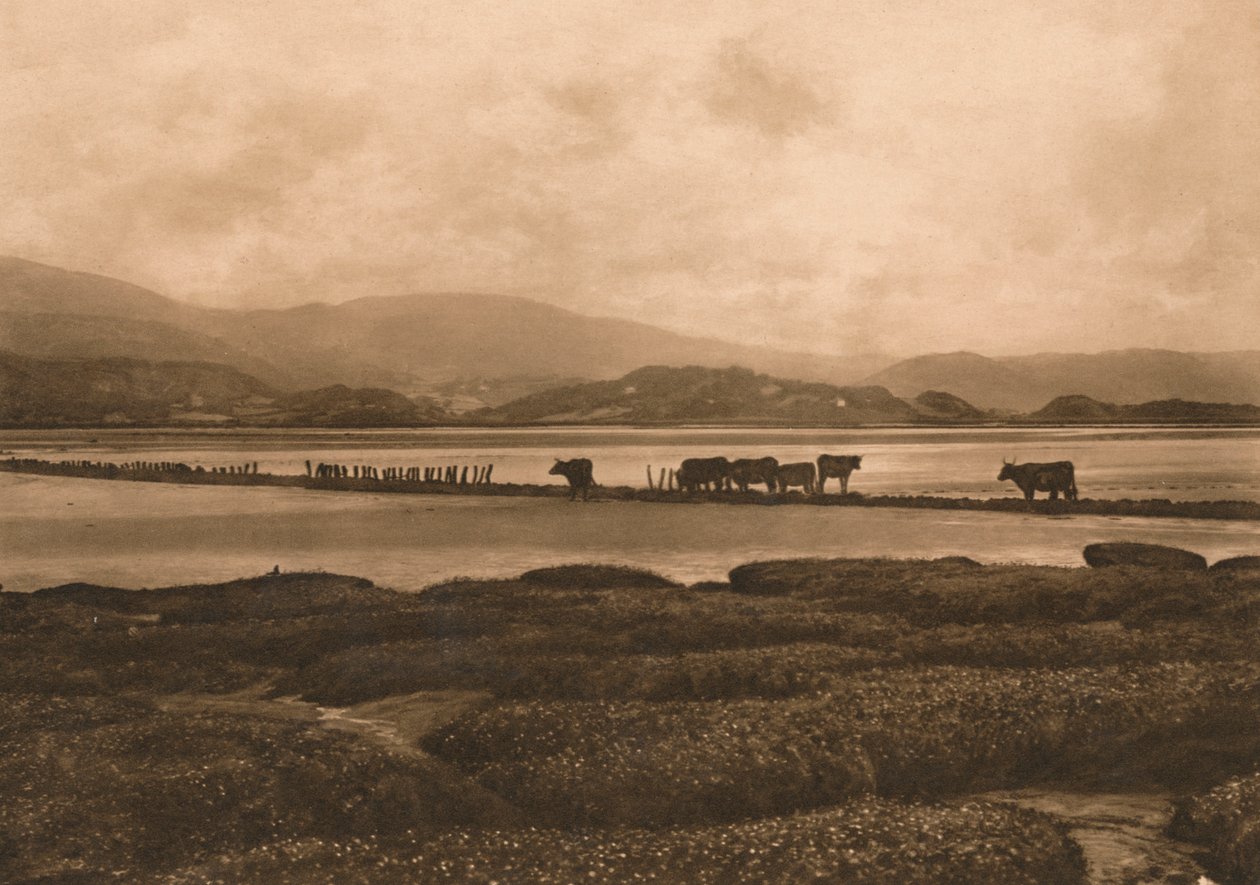 Der Dovey bei Ynyslas, 1902 von Unbekannt